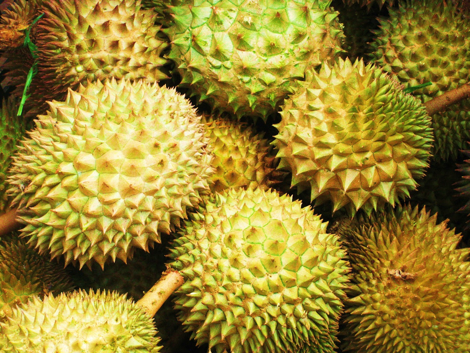 Durian-Fruit